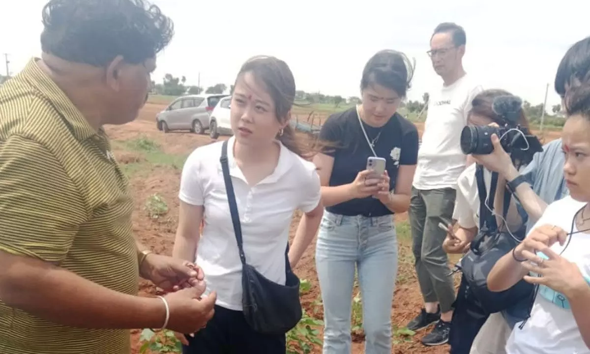 Organic Farming Gains Traction in Nagar Doddi Village with Japanese University Visit