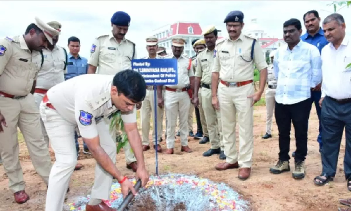 SP T Srinivas Rao Plants Saplinngs