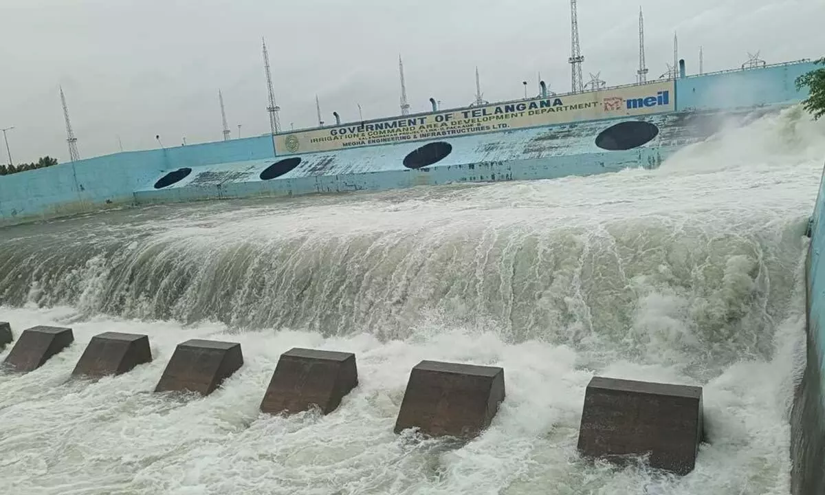 Crops of kharif get Kaleshwaram water