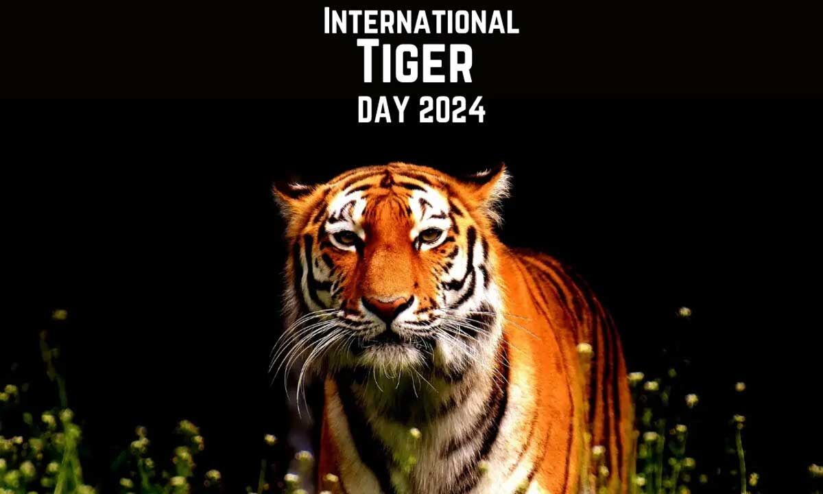 International Tiger Day 2024 Date Theme History And Significance 5073