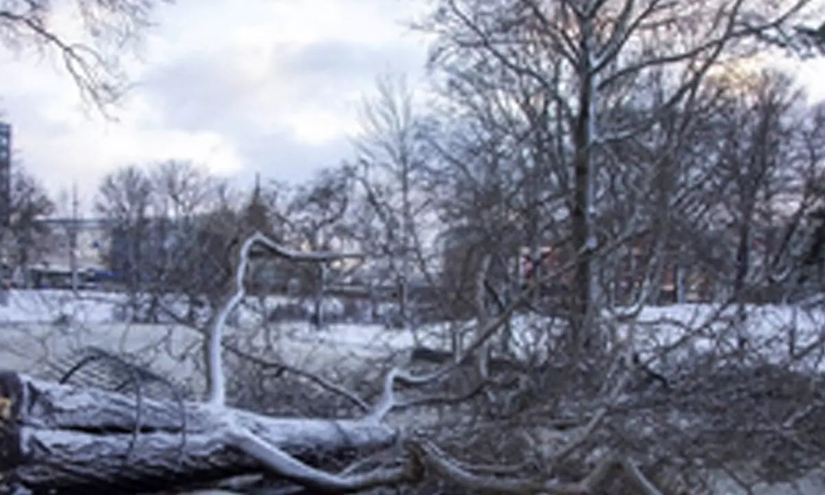 Power supply disrupted to around 30,000 houses in Latvia due to storm