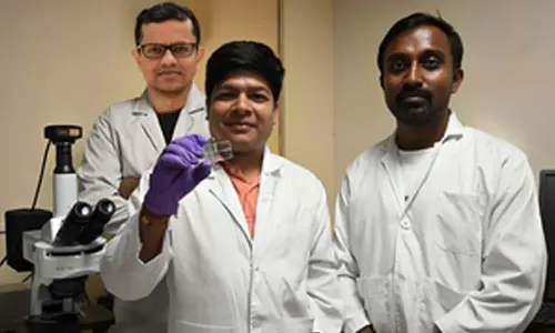 IIT Guwahati researchers develop a new method to boost crop yield