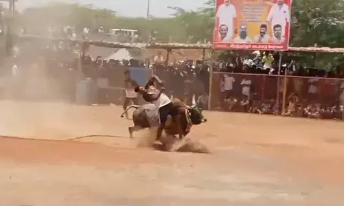 Man Dies After Being Gored By Bull At Manjuvirattu Event In Tamil Nadu