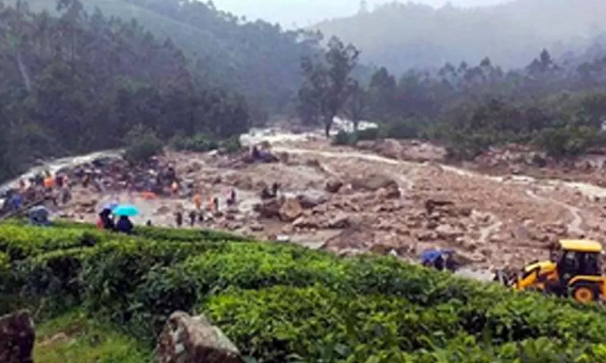 Wayanad landslide: TN CM announces Rs 5 crore aid to Kerala