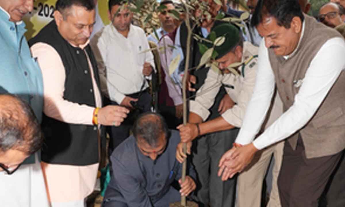 Himachal Pradesh Chief Minister Inaugurates 'Van Mahotsav' and Green Initiatives