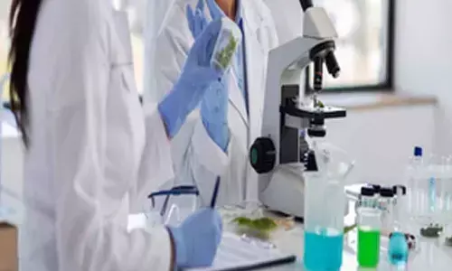 New study finds career barriers for young scientists embracing interdisciplinary research