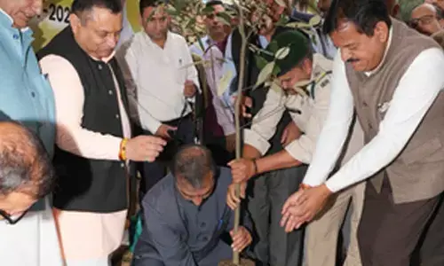 Himachal CM opens plantation drive by planting oak sapling