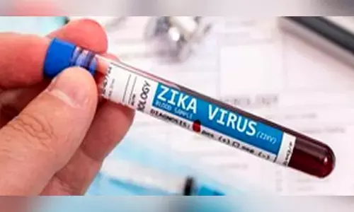Centre formulates action plan for managing Zika Virus disease