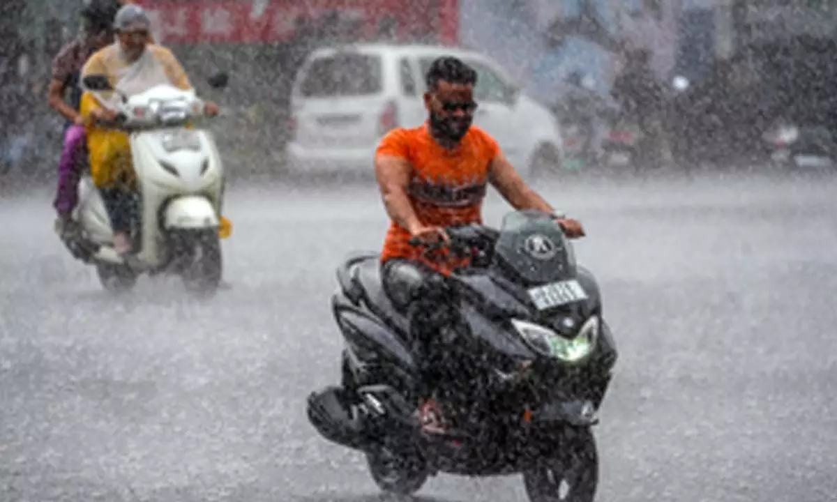 Gujarat receives 60 per cent of its average seasonal rainfall