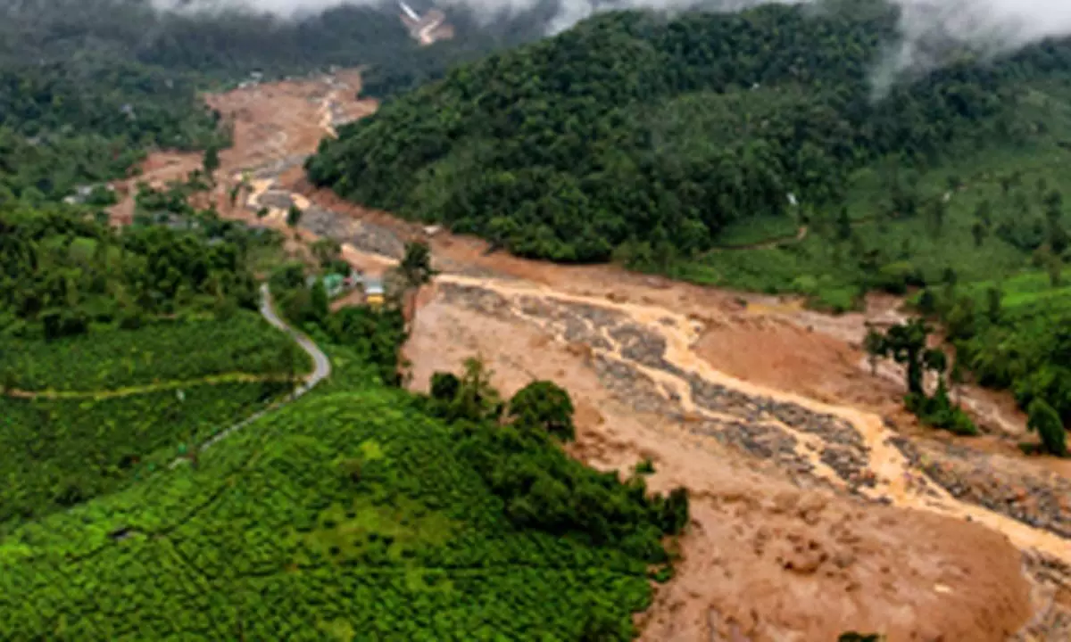 Deeply saddened: Gautam Adani announces Rs 5 crore contribution for landslide-hit Wayanad