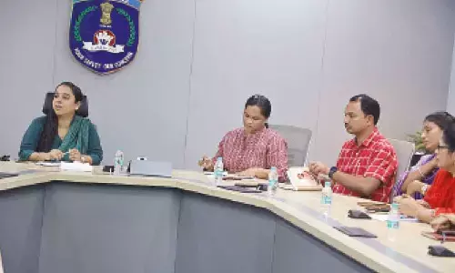 ‘Unified approach needed to support domestic violence victims’