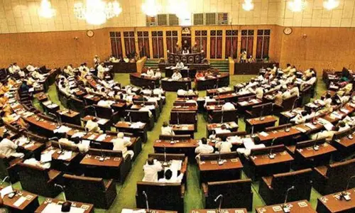 Appropriation Bill passed amid din