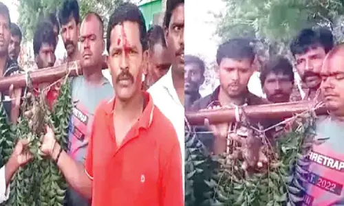 Frog wedding organised to appease rain god