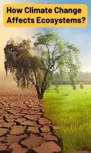 How Climate Change Affects Ecosystems?
