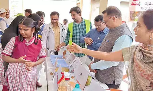 Be on toes to battle mosquito menace: DPH to households