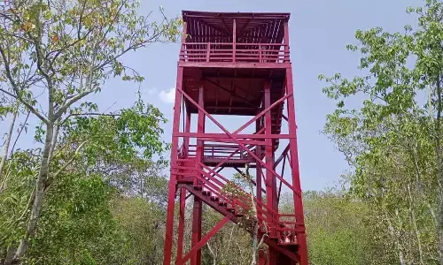 Bhitarkanika National Park reopens for tourists