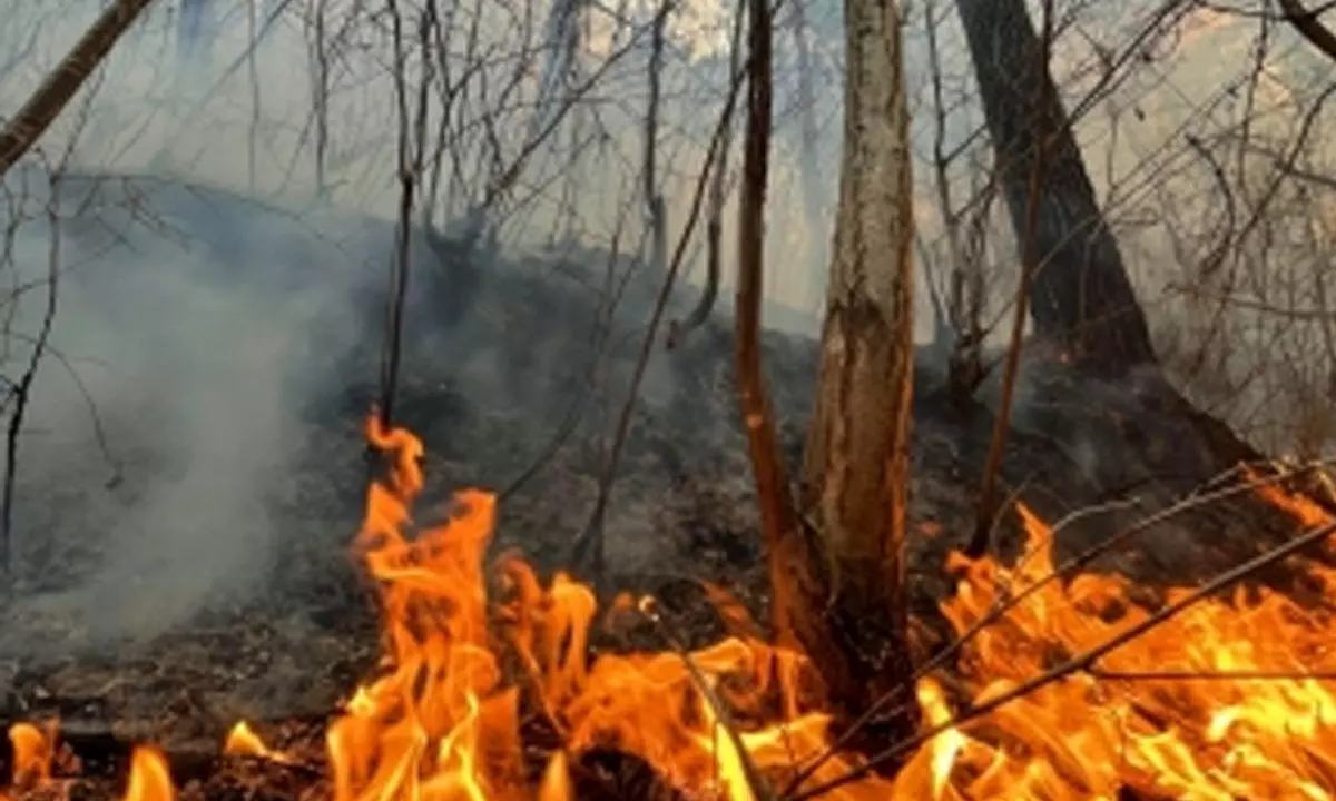 Wildfires rage across US as adverse weather looms