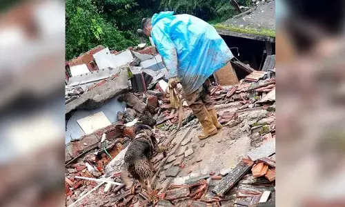 Wayanad tragedy: 4 persons rescued alive after three days