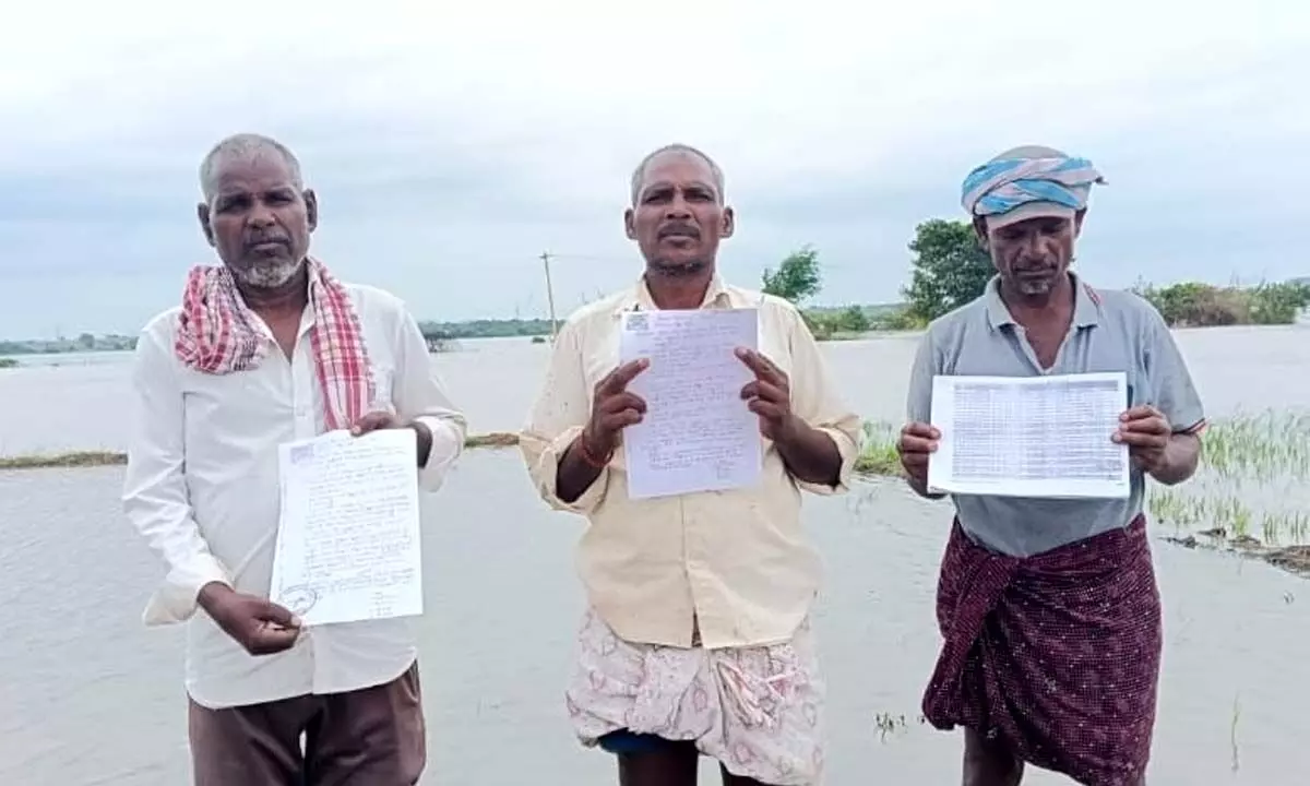 Farmers Crops Submerged Due to Overflowing Krishna River: No Response from District Officials