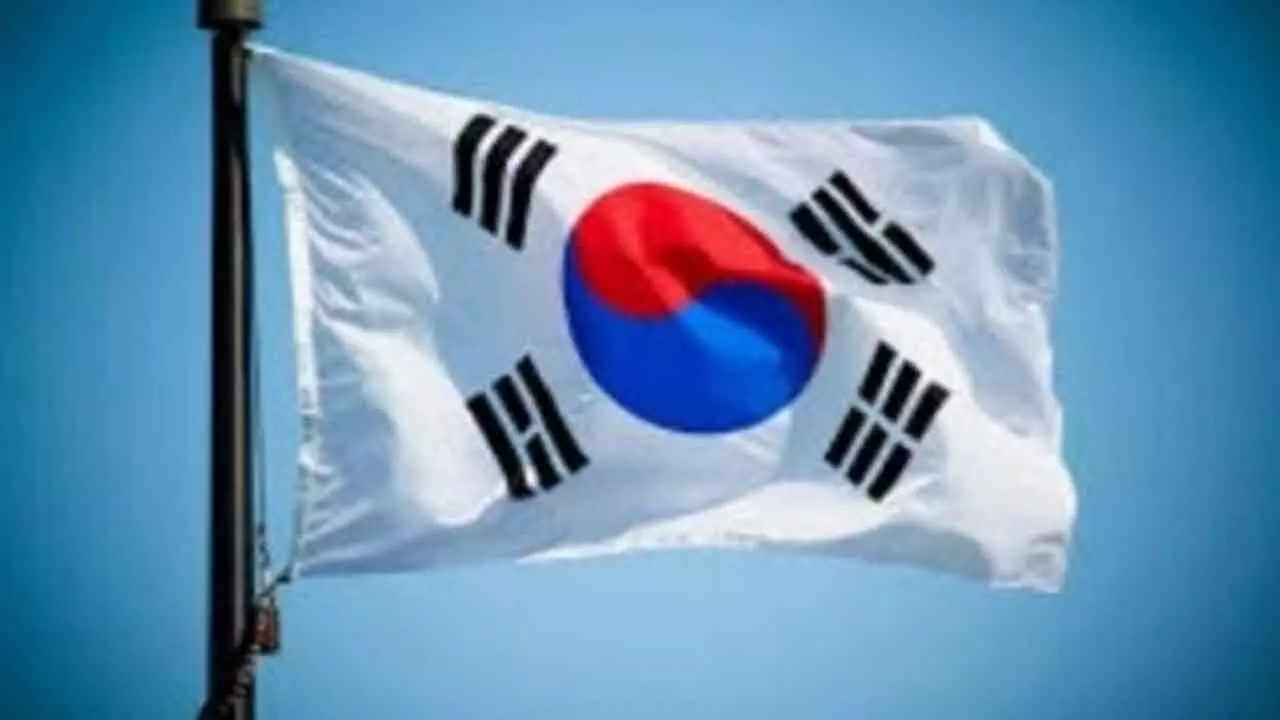 South Korea opens anti-dumping probe into hydrocarbon resin imports from China