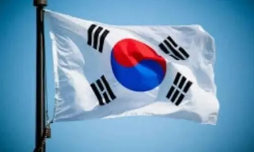 South Korea opens anti-dumping probe into hydrocarbon resin imports from China