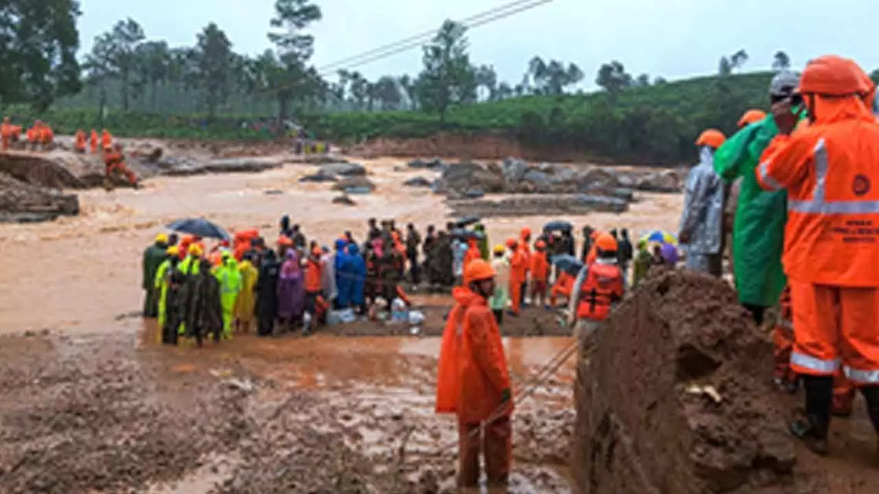 Wayanad disaster: 31 unidentified bodies, 158 body parts to be interred after prayer