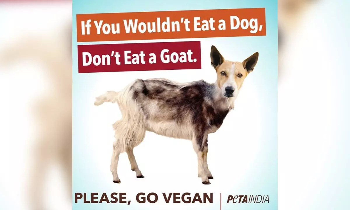 Dog meat scare in Bengaluru prompts PETA India to erect pro-vegan billboard