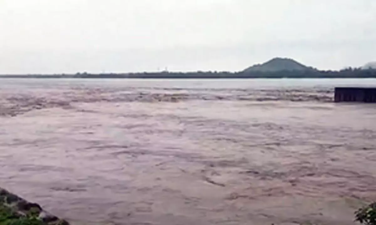 Bihar: Water level in Son rises more than 10 times in last 24 hours