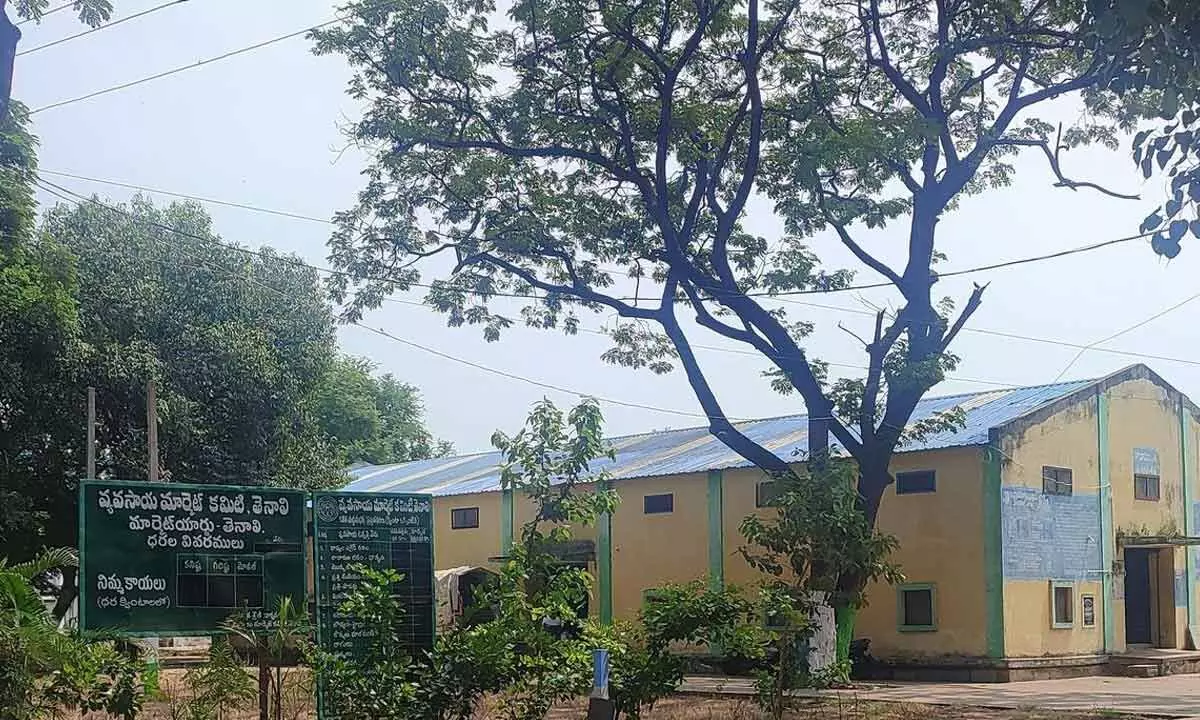 Agriculture Market Yard in Tenali