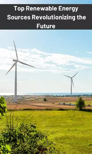 Top Renewable Energy Sources Revolutionizing the Future