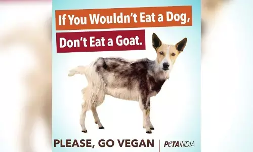 Dog meat scare in Bengaluru prompts PETA India to erect pro-vegan billboard