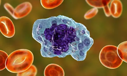 New macrophage discovery could revolutionize lung repair therapy