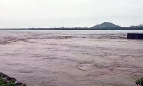 Bihar: Water level in Son rises more than 10 times in last 24 hours