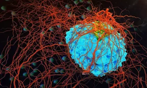 New CRISPR method to enhance CAR-T Cell therapy for cancer