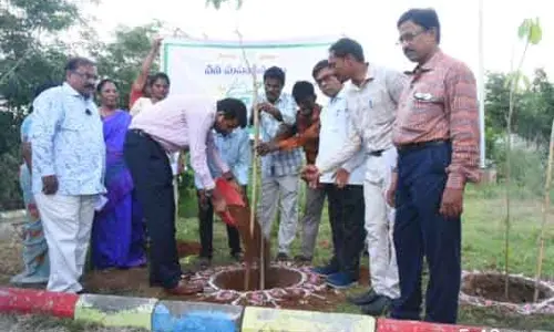 DC Emphasises About The Swachhata and Pachhata.(Clean and Green)