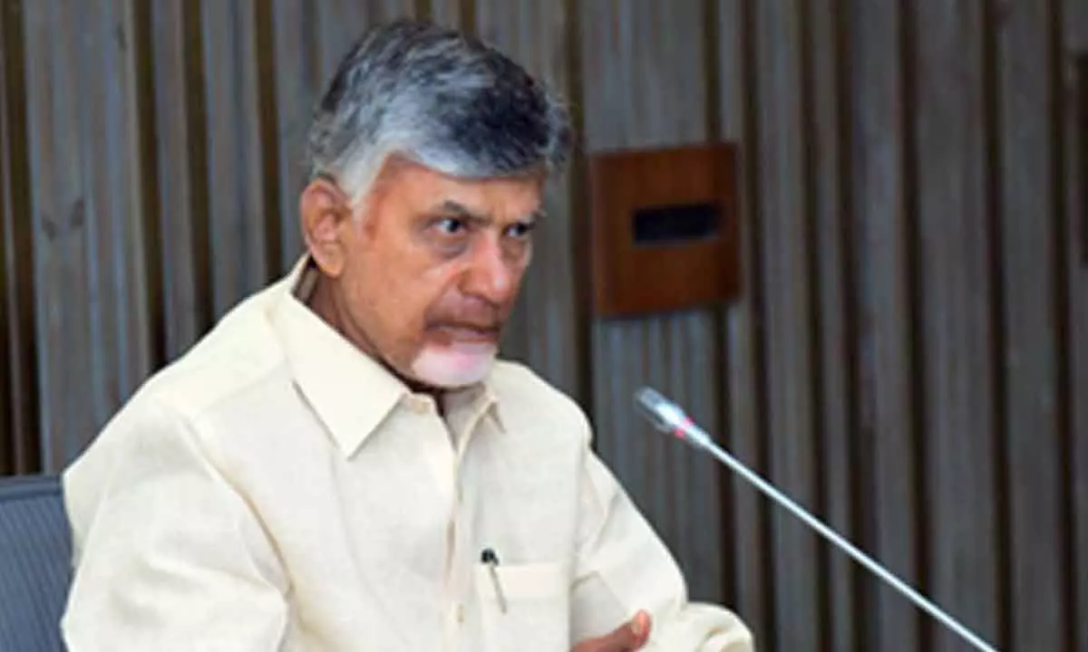 Andhra CM discusses YouTube Academy with Google leadership