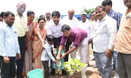 Greenery gets a boost: Collector launches 5-day plantation initiative