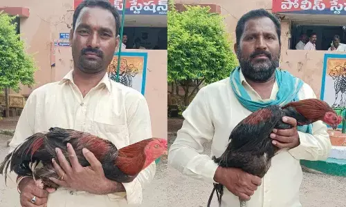 Cops auction seized roosters for Rs 6,500