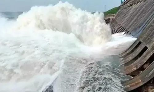 Odisha govt alerts 10 dists as Mahanadi swells