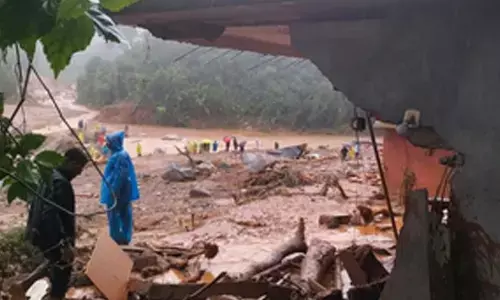 Wayanad disaster: Kerala HC wants holistic approach in development, appoints amicus curiae