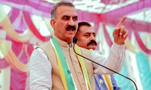 Himachal to procure up to 20 quintals of naturally grown wheat at Rs 40 per kg