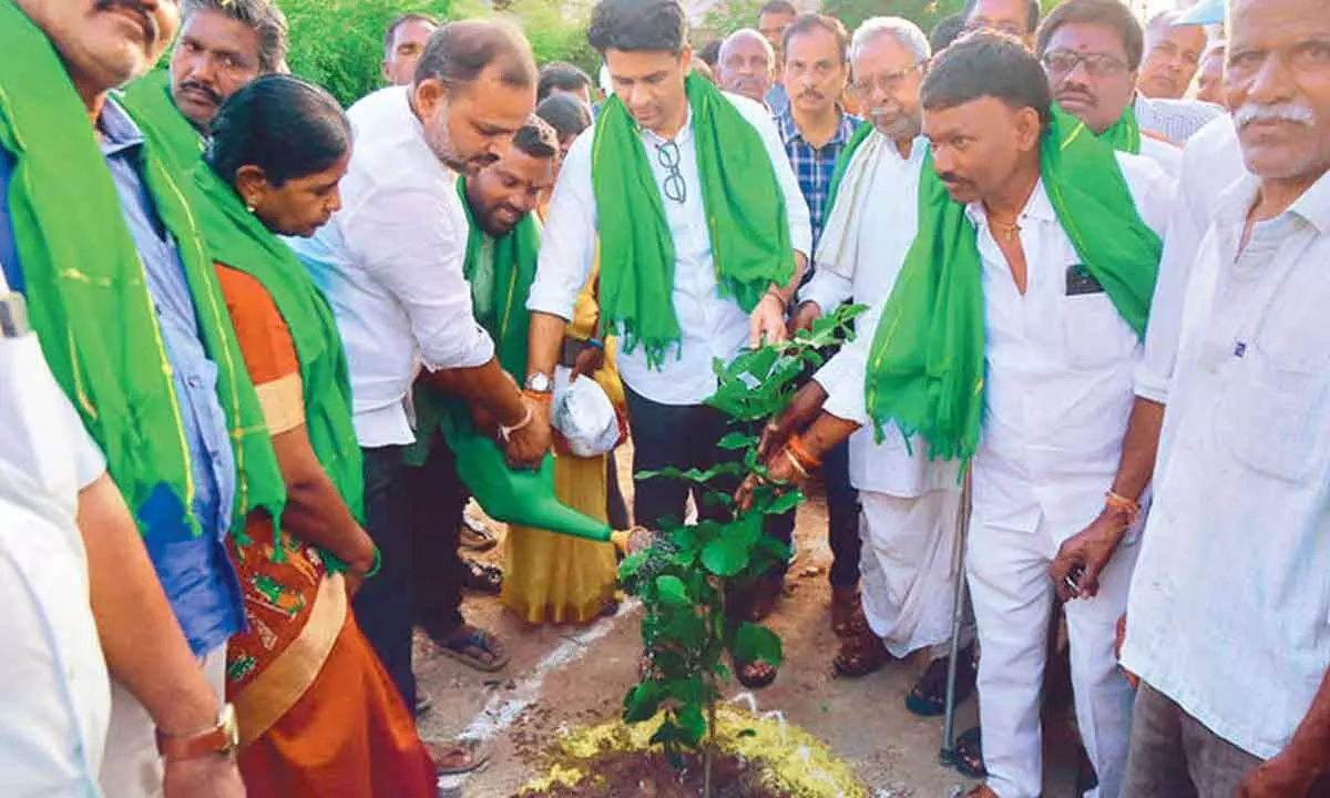 MLA Rajesh Reddy calls upon people to plant trees