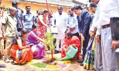 Swachadanam-Pachadanam: 2.75 lakh saplings distributed in 5 days