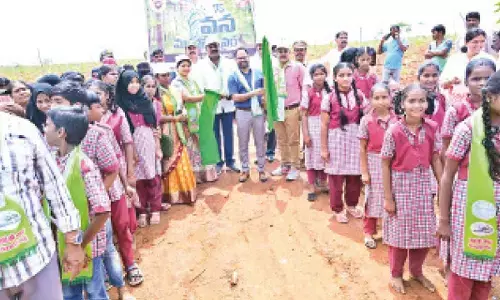 Forest officials hold green drive in RR
