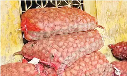 Odisha GOVT to procure potato through NAFED