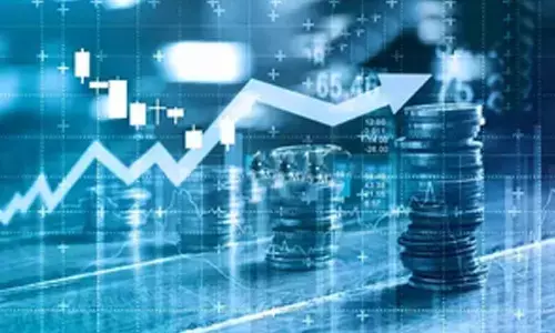 Domestic institutional investors stabilise stock market volatility amid FII sell-off