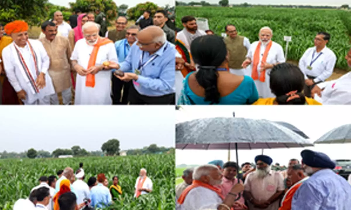 PM Modi releases 109 high-yielding, climate-resilient varieties of crops