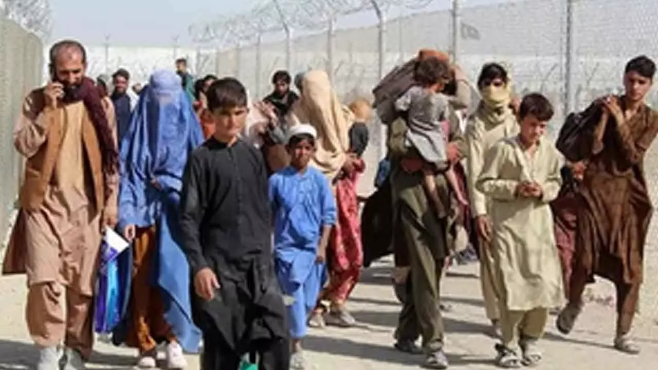 Nearly 1.8 million Afghan refugees return home in past 12 months