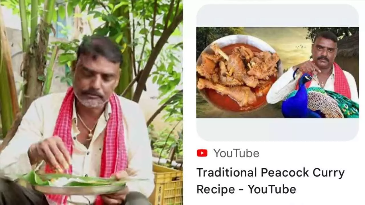 Sircilla YouTuber Faces Legal Trouble Over Peacock Curry Video