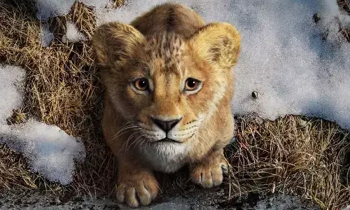 New ‘Mufasa: The Lion King’ film to delve into tragic backstory and epic power struggle